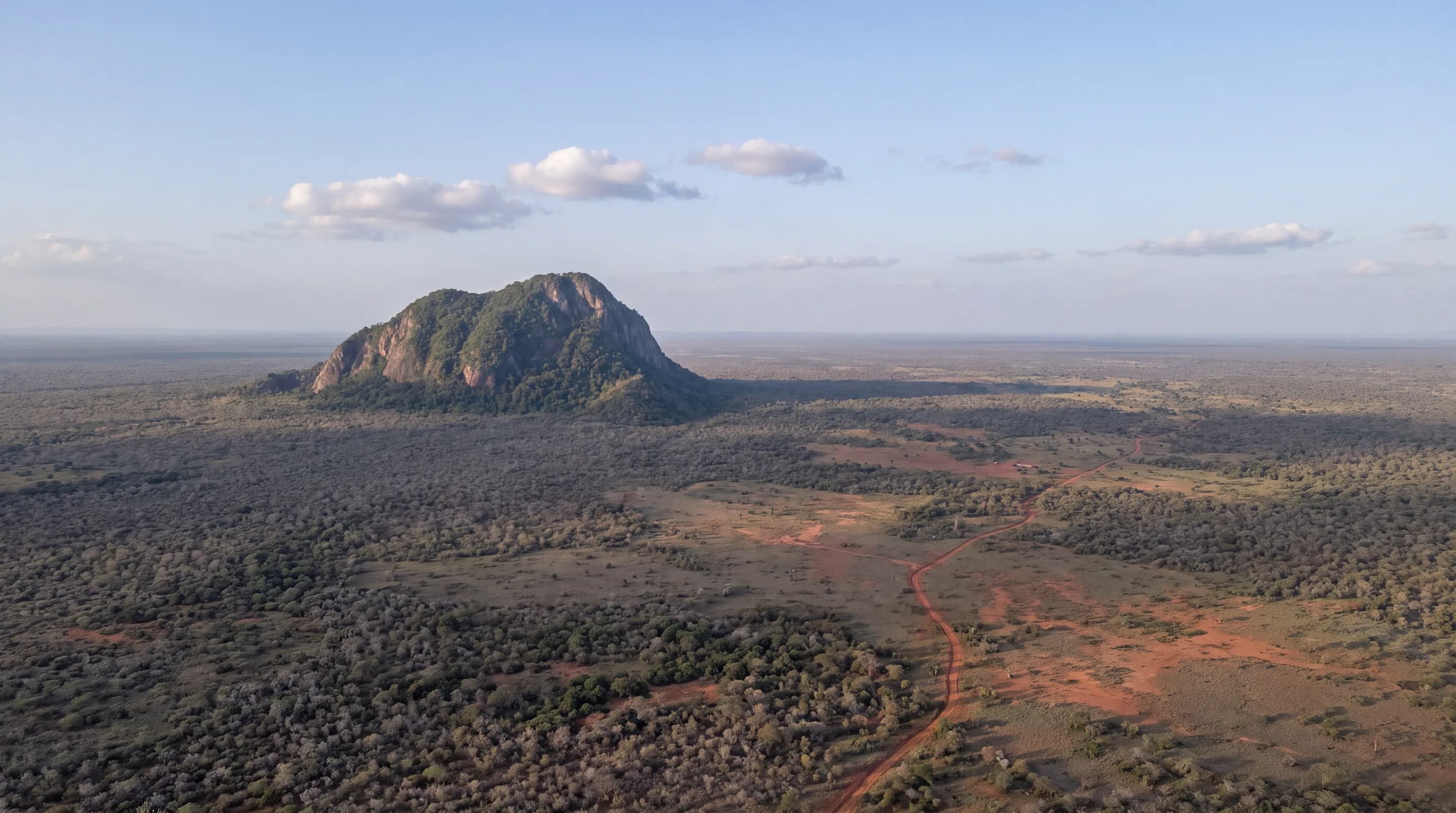 Mount Kasigau rising out of dry forest in the Kasigau Corridor, from the air (illustration).
