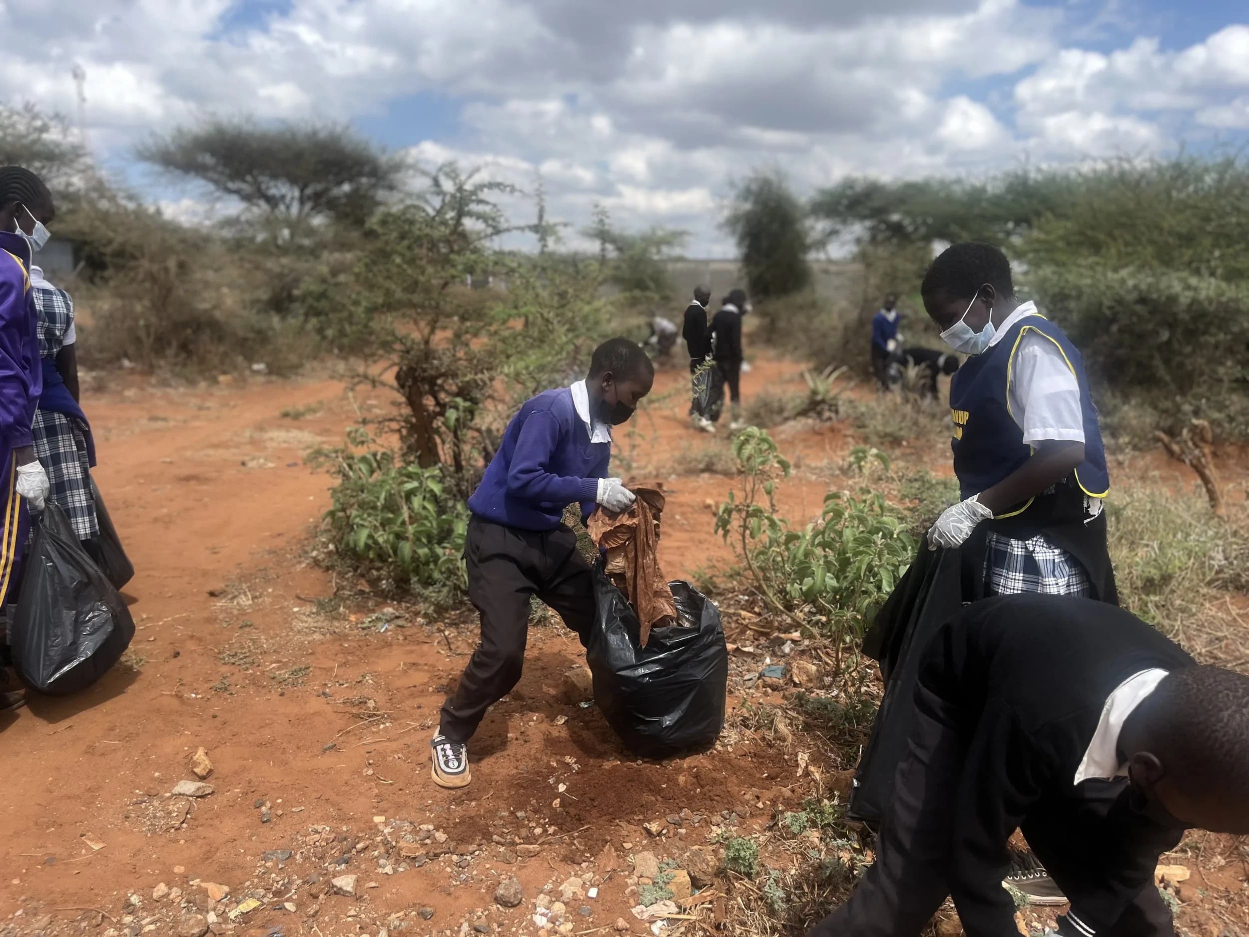 Saikeri clean-up: picking up in the scrub.