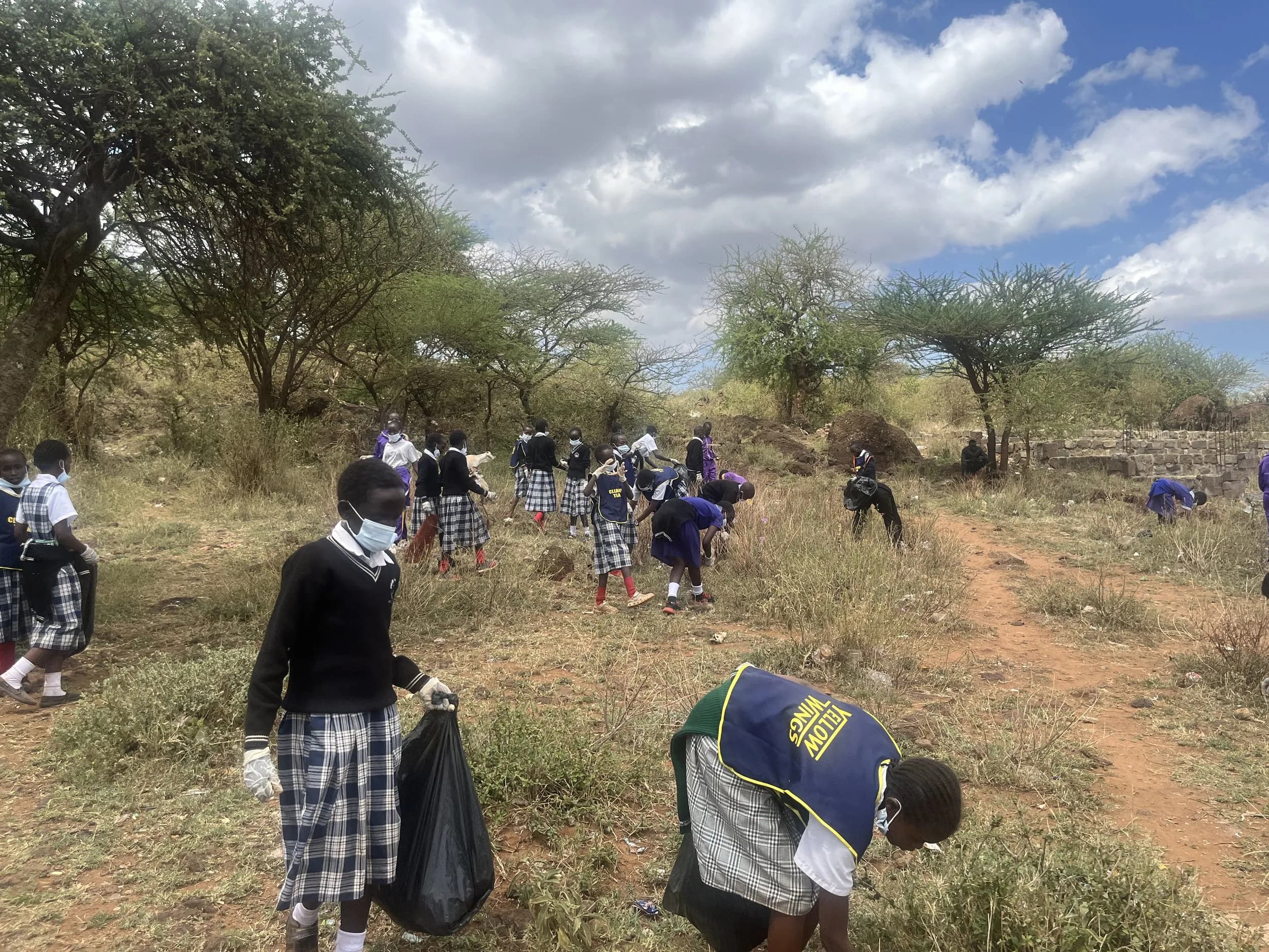 Saikeri clean-up: spread out across the field.